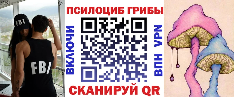 Галлюциногенные грибы Psilocybe  Ленск 